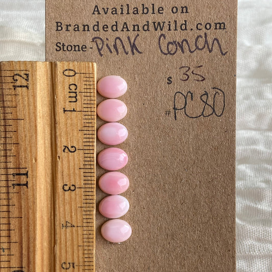 Pink Conch Cabochon - PC80 0A06D7C7-0055-472A-AE6F-61AD385D2628 Brandedandwild.com