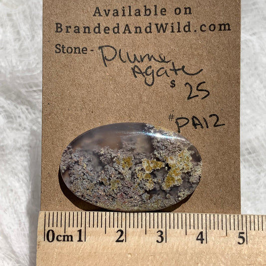 Plume Agate Cabochon - PA12