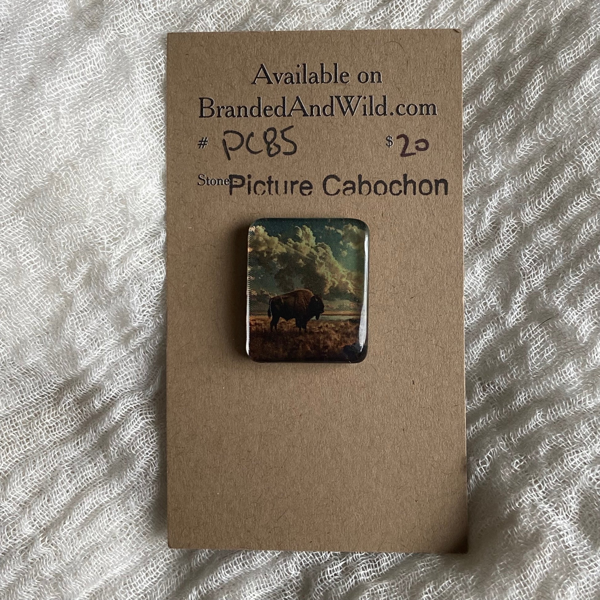 Picture Cabochon - Cabochon - PC85 0A0FCEEC-2968-4823-9181-F35BA1D646D1 Brandedandwild.com