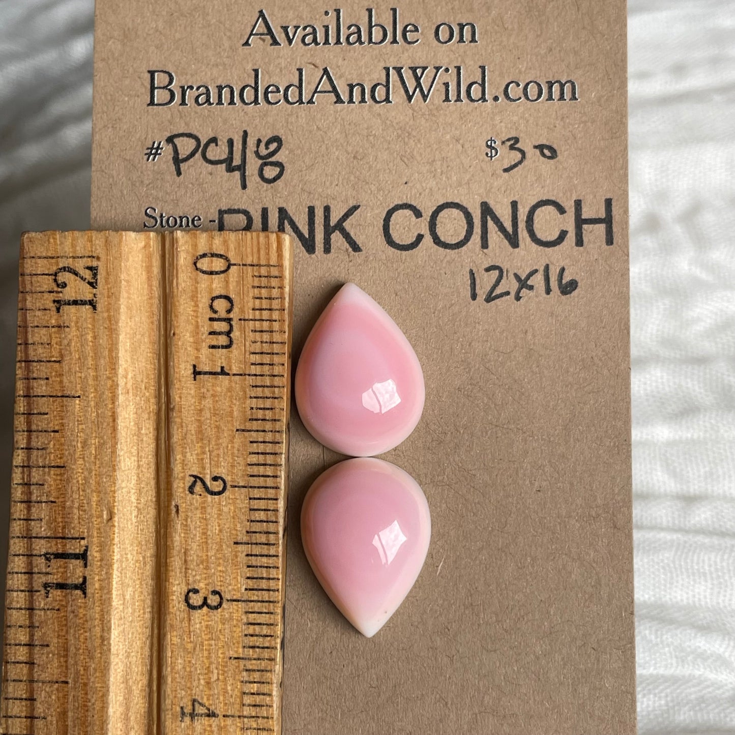 Pink Conch Cabochon - PC48 0A16720C-AF96-4701-9C3C-1B9590D58C38 Brandedandwild.com