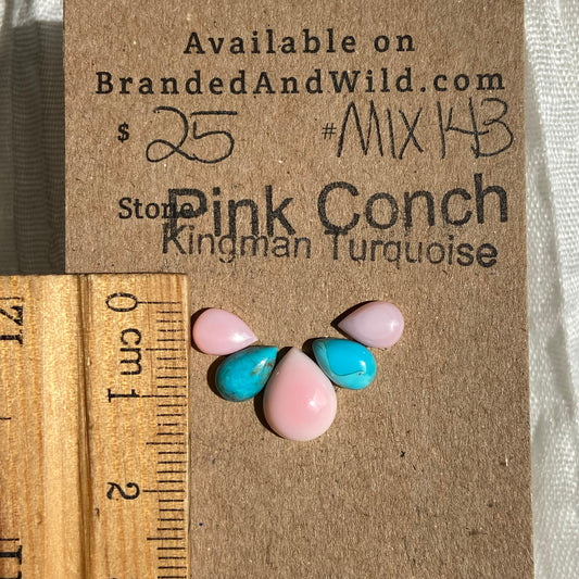 Pink Conch / Kingman Turquoise Cabochon - MIX143 0A22FA73-AE09-4530-9AE1-86C3471460CD Brandedandwild.com