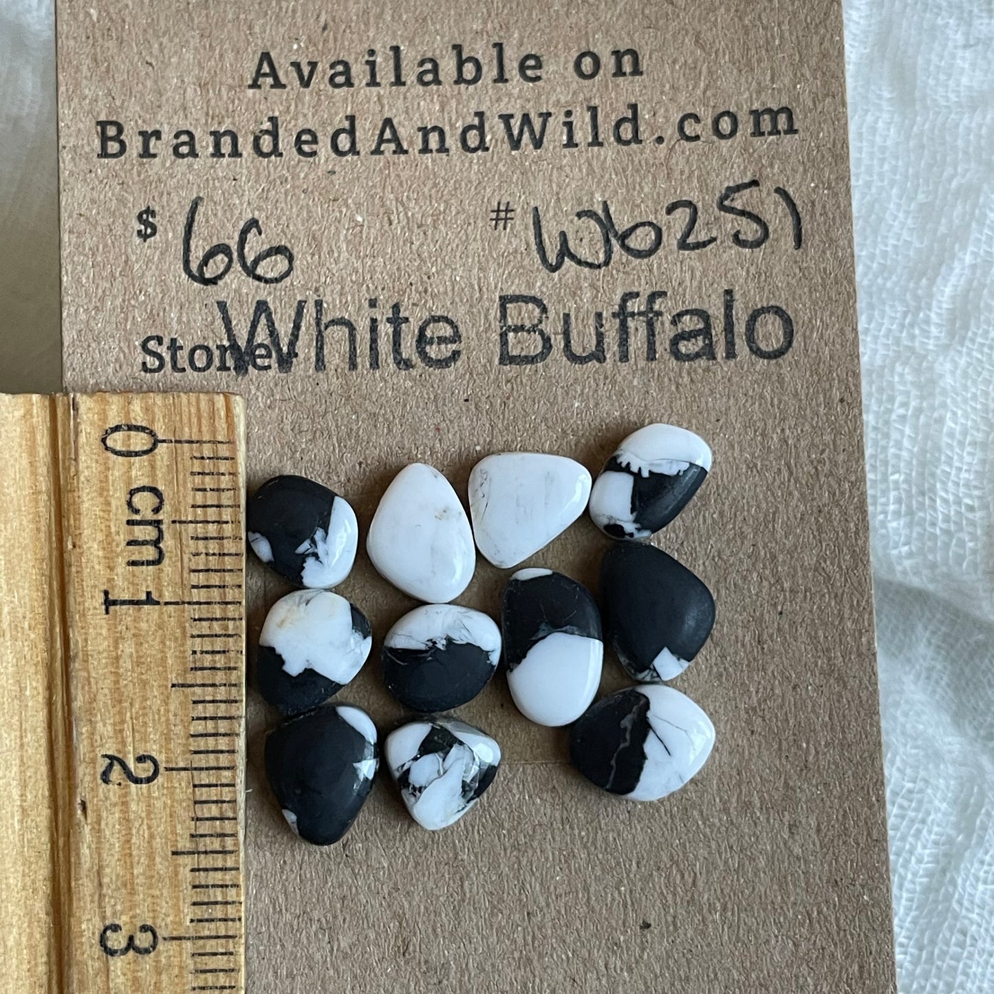 White Buffalo Cabochon - WB251