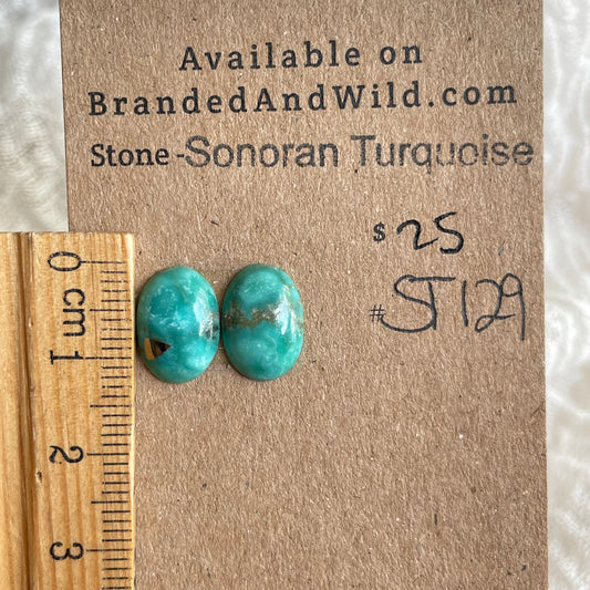 Sonoran Turquoise Cabochon - ST129 0A685B42-FF92-4994-946B-7E4459CC1839 Brandedandwild.com