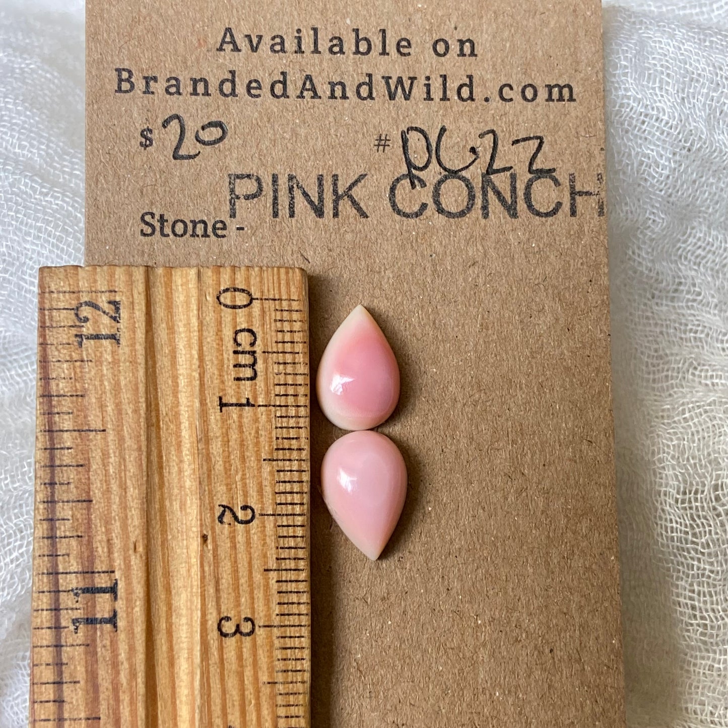 Pink Conch Cabochon - PC22 0A7AEB61-1212-4883-AA3A-7F2368FF820B Brandedandwild.com