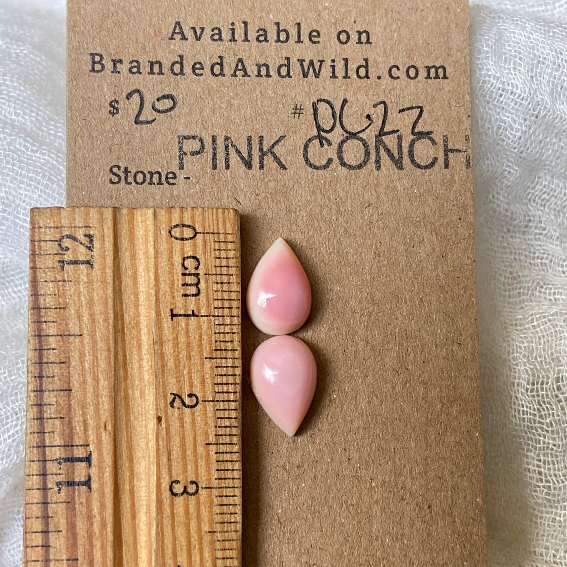 Pink Conch Cabochon - PC22 0A7AEB61-1212-4883-AA3A-7F2368FF820B Brandedandwild.com