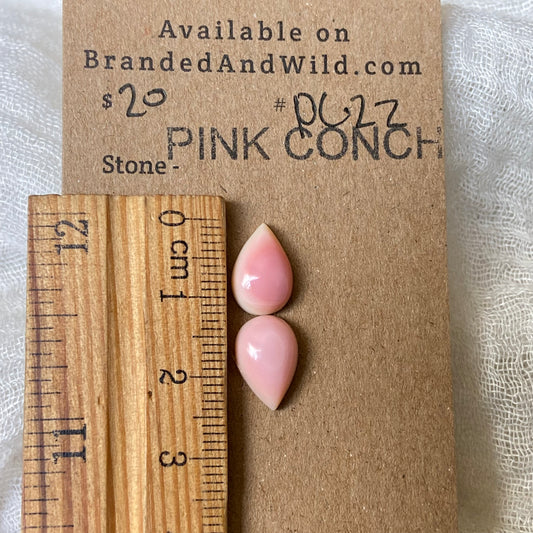 Pink Conch Cabochon - PC22 0A7AEB61-1212-4883-AA3A-7F2368FF820B Brandedandwild.com