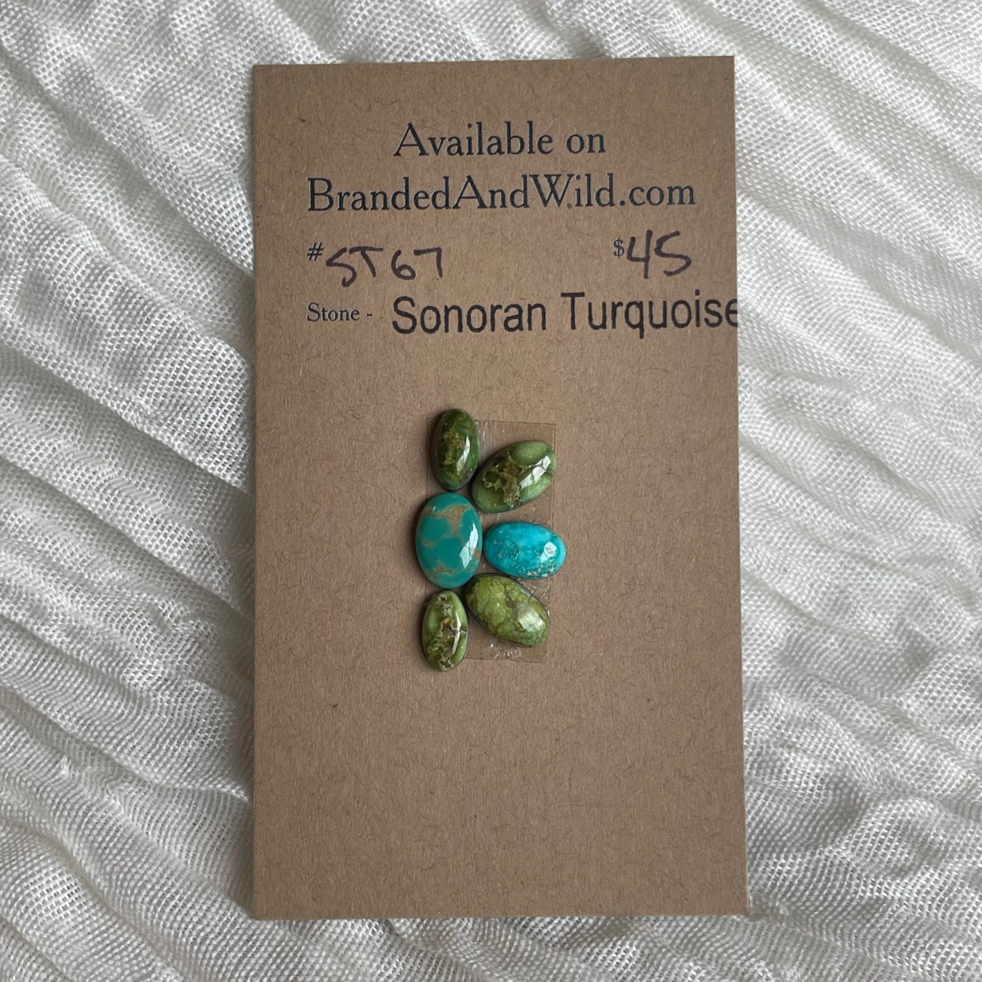 Sonoran Turquoise Cabochon - ST67 0A8C5EA3-127D-43FE-A95D-58C5246498C8 Brandedandwild.com