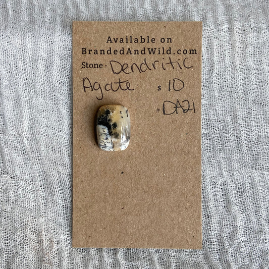 Dendritic Agate Cabochon - DA21
