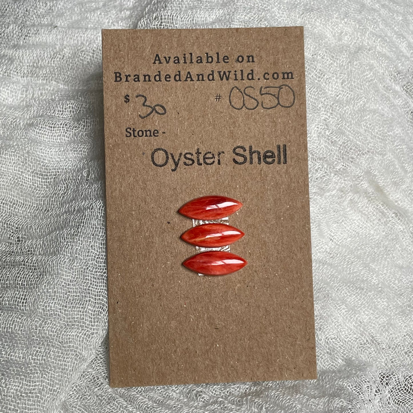 Oyster Shell Cabochon - OS50