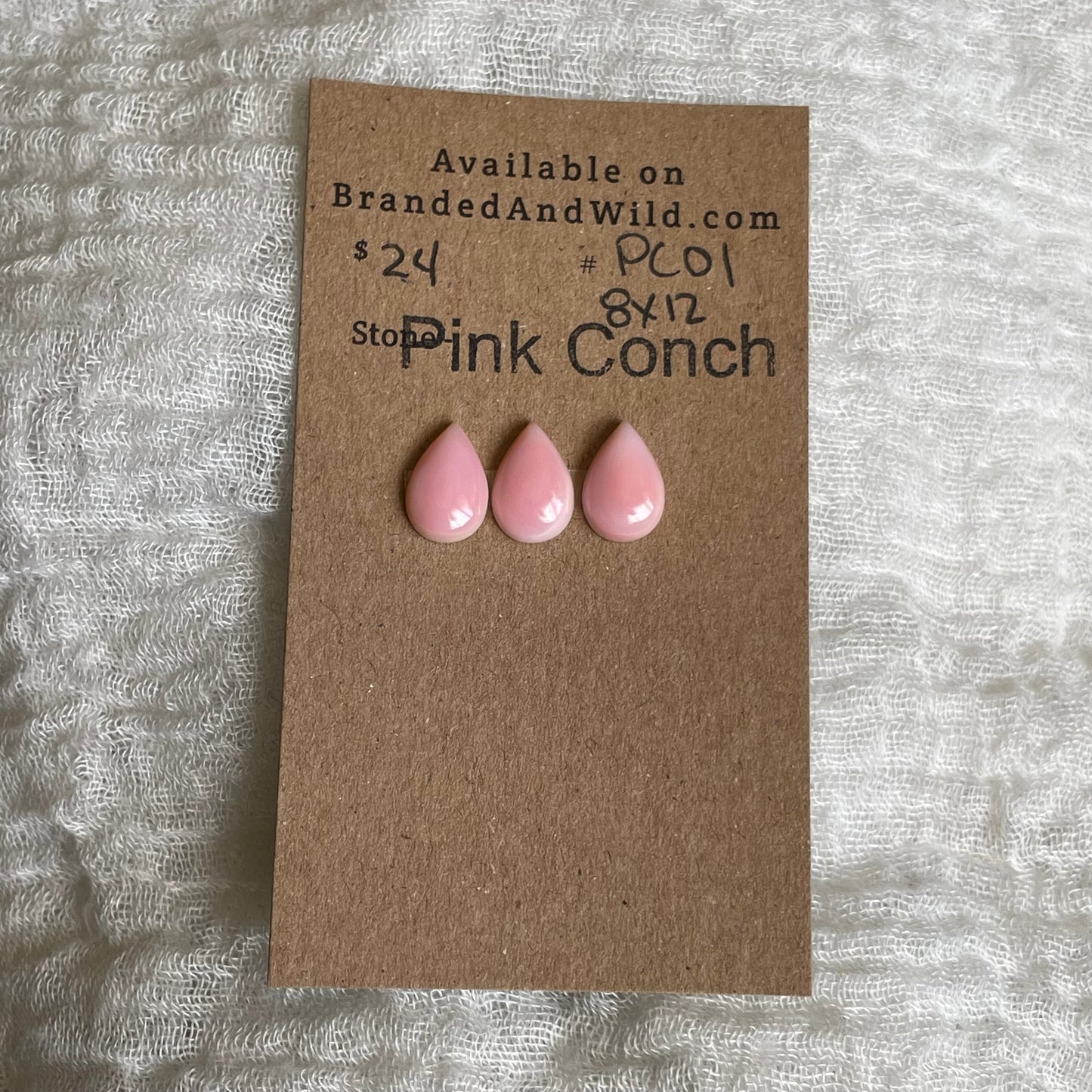 Pink Conch Cabochon - PC01