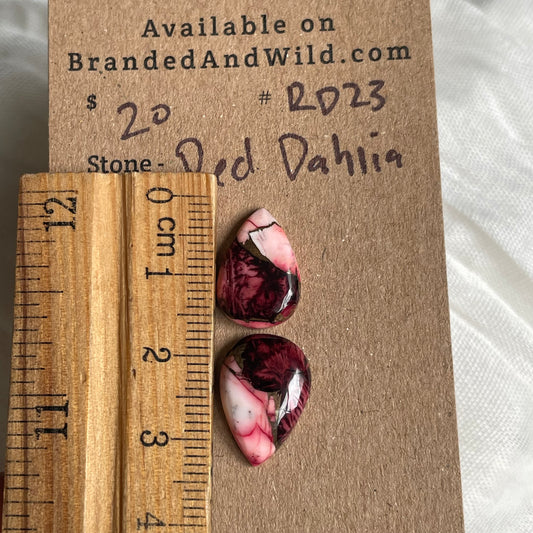 Red Dahlia Cabochon - RD23 0AC45BC0-F436-4746-96FD-2B24D3E0ED77 Brandedandwild.com