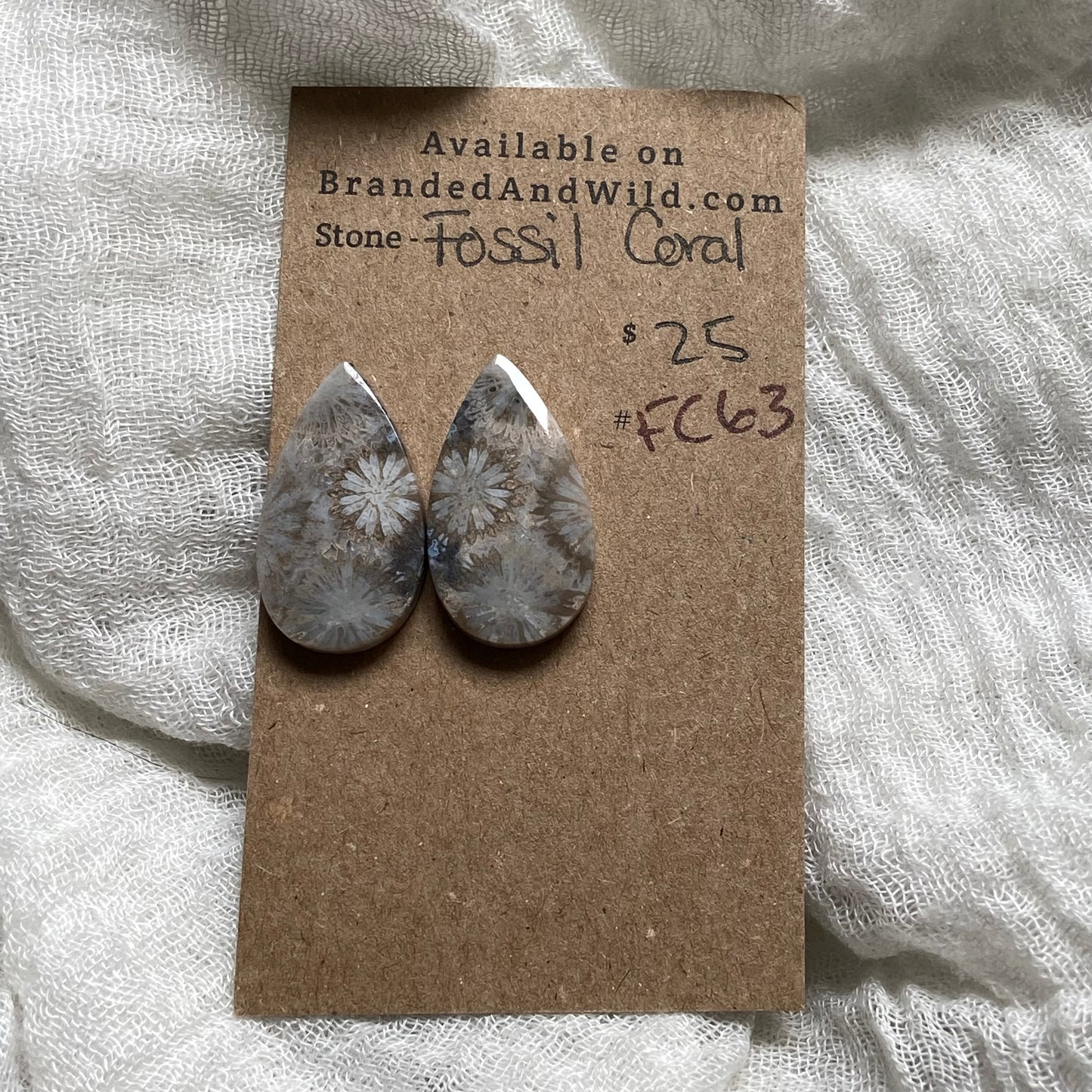 Fossil Coral Cabochon - FC63