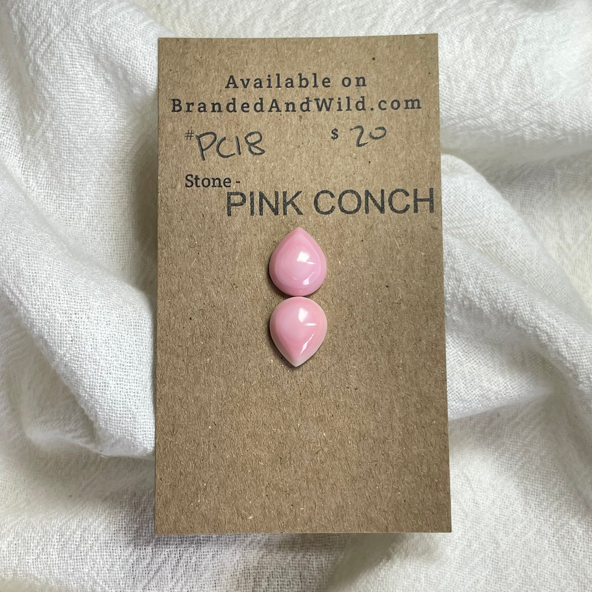Pink Conch Cabochon - P018 0AE38395-4CE4-4908-BA21-097266462259 Brandedandwild.com