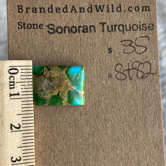 Sonoran Turquoise Cabochon - ST82