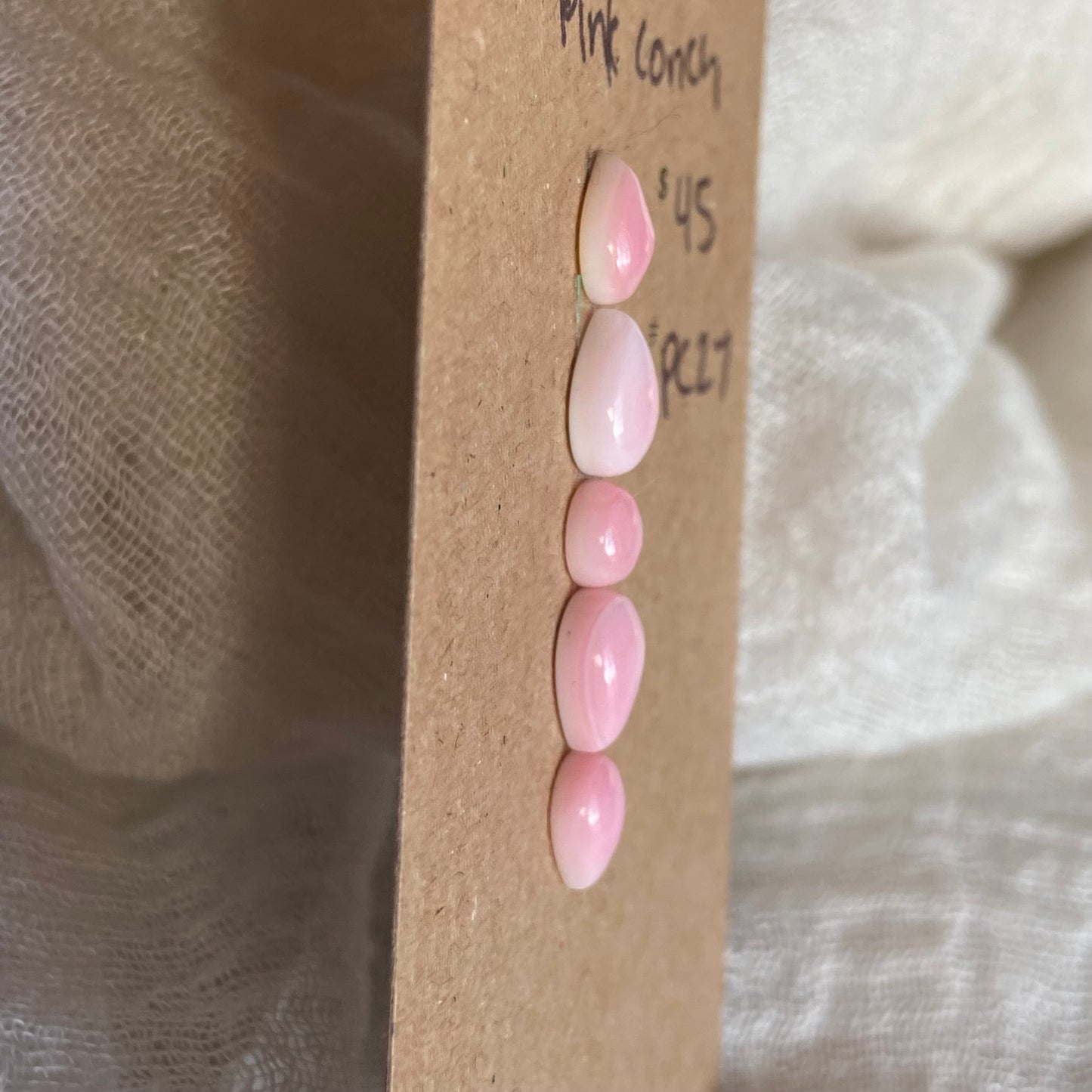 Pink Conch Cabochon - PC27