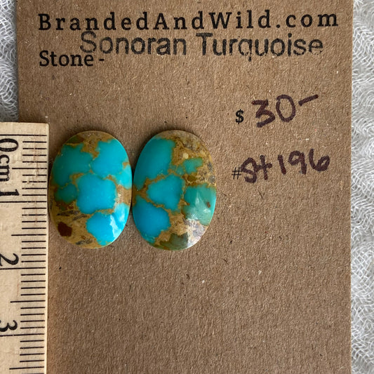Sonoran Turquoise Cabochon - ST196