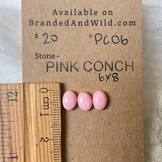 Pink Conch Cabochon - PC06 0B4BF17A-C731-4B6A-9ED7-D9CC98F71418 Brandedandwild.com