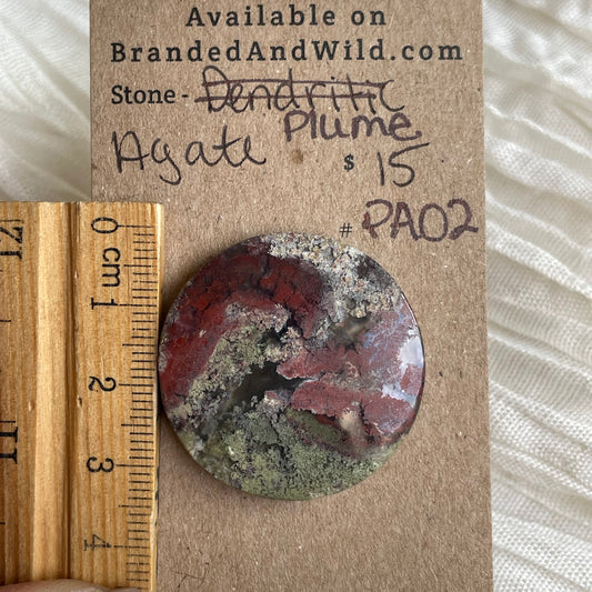 Plume Agate Cabochon - PA02 0B752640-DB51-493E-99CC-BC213EBAEA3A Brandedandwild.com