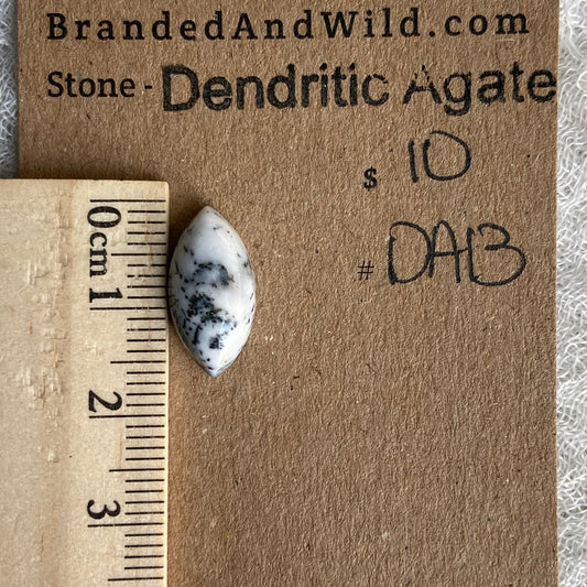 Dendritic Agate Cabochon - DA13
