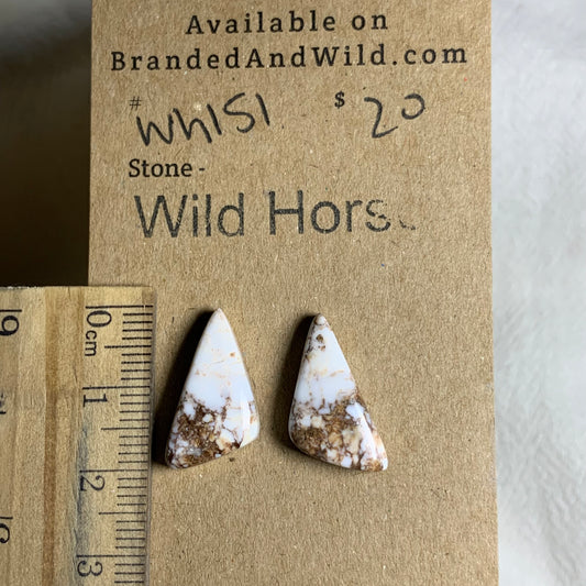 Wild Horse Cabochon - WH151 0B7E1ACA-D7BD-47A3-9EA7-C5084AC5C404 Brandedandwild.com