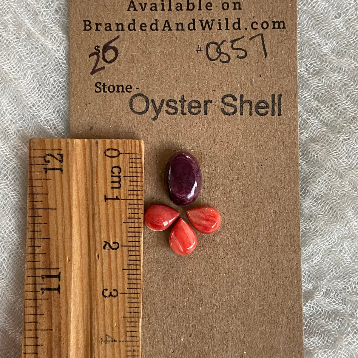 Oyster Shell Cabochon - OS57