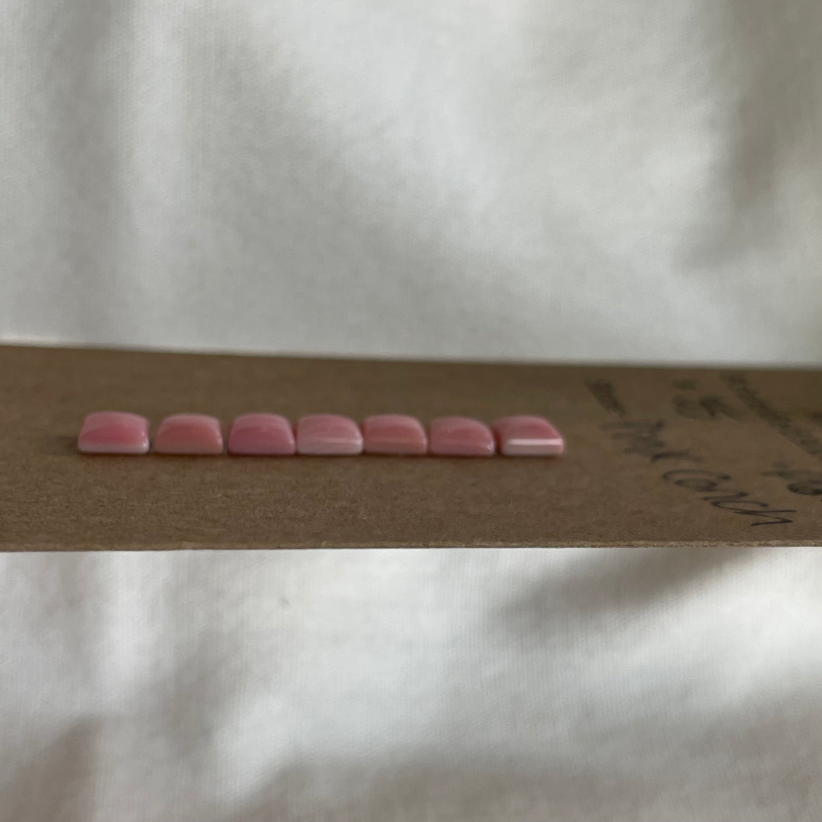 Pink Conch Cabochon - PC68 0BC5C07B-3CA6-4B51-9475-FDF5DE11EE1B Brandedandwild.com
