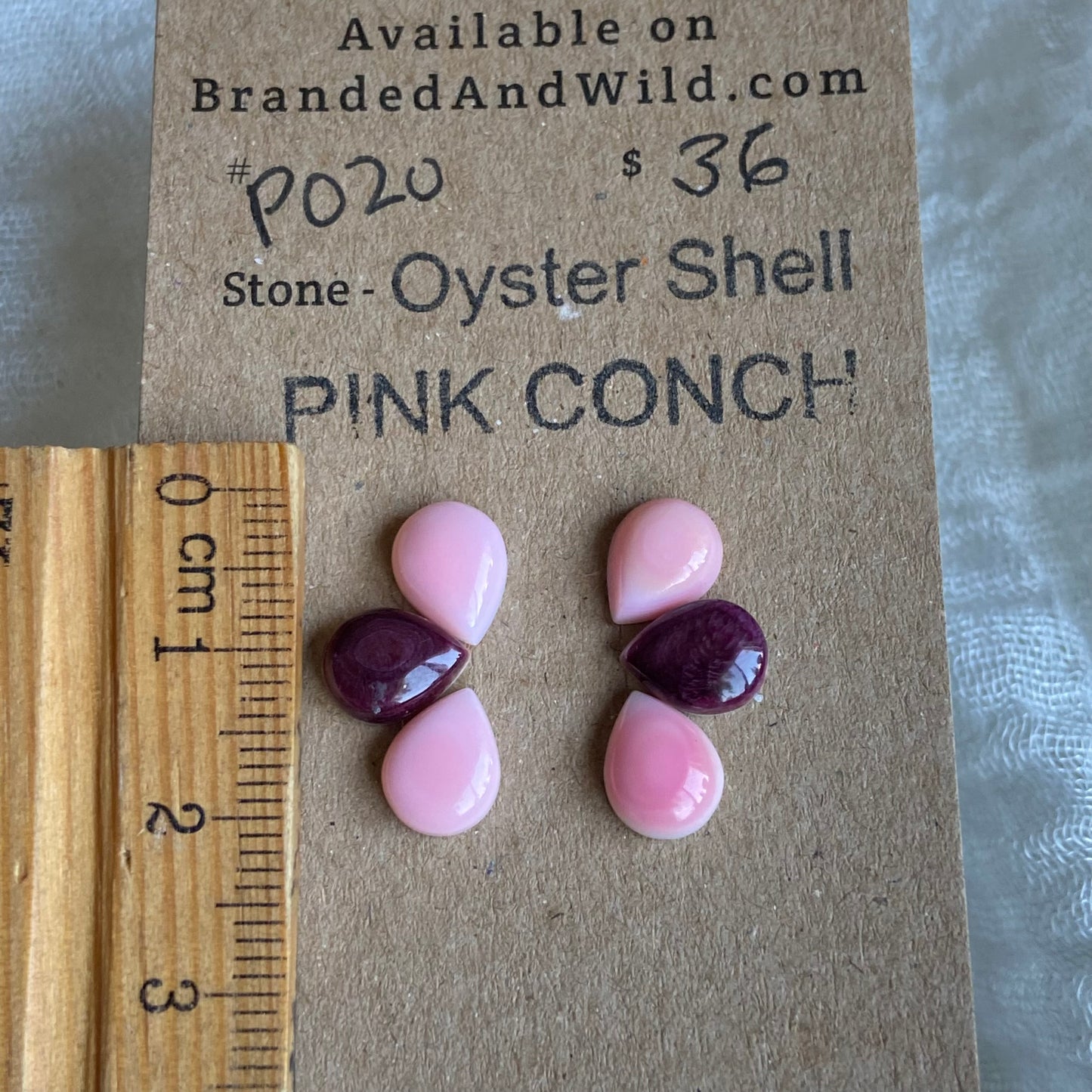 Pink Conch / Oyster Shell Cabochon - P020