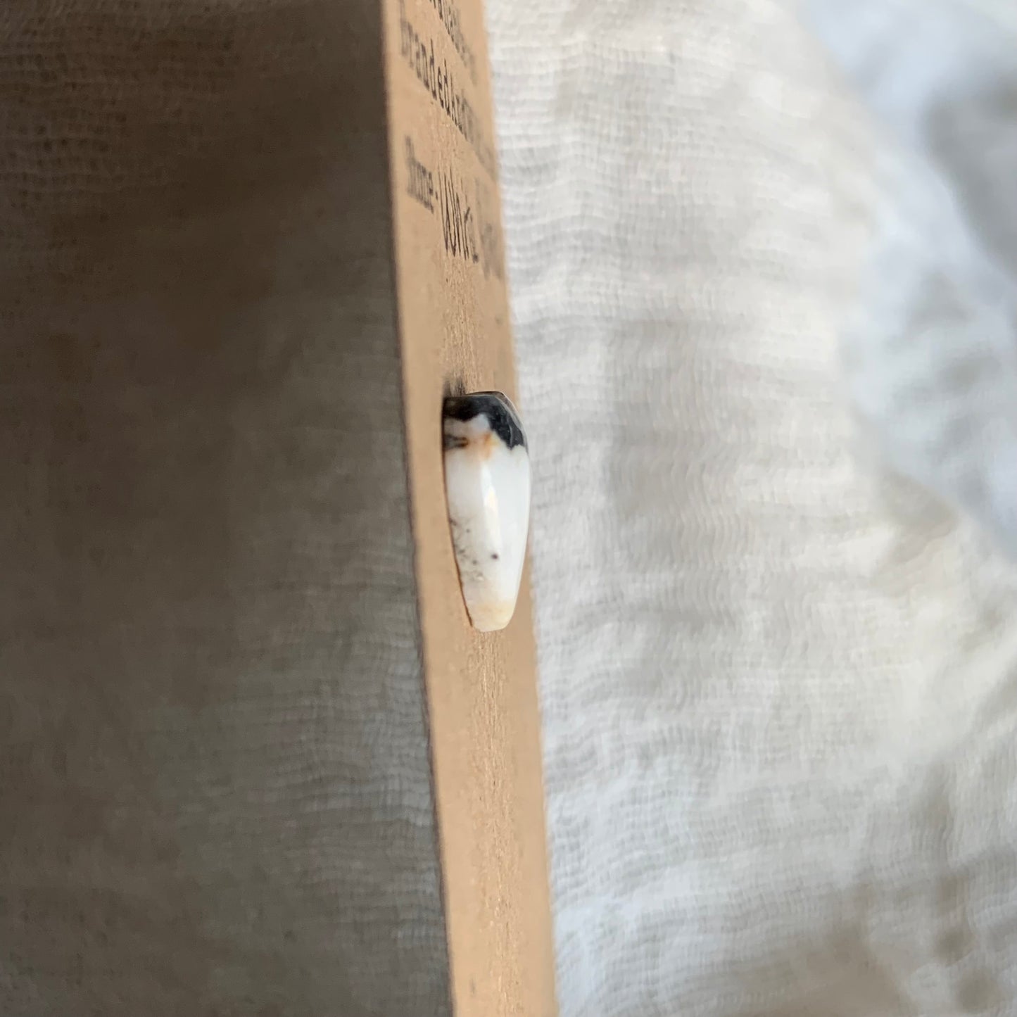 White Buffalo Cabochon - WB44