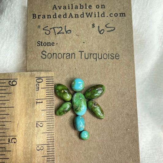 Sonoran Turquoise Cabochon - ST26 0C0EBD86-7909-4D4E-ACDA-EB8F8B50467A Brandedandwild.com