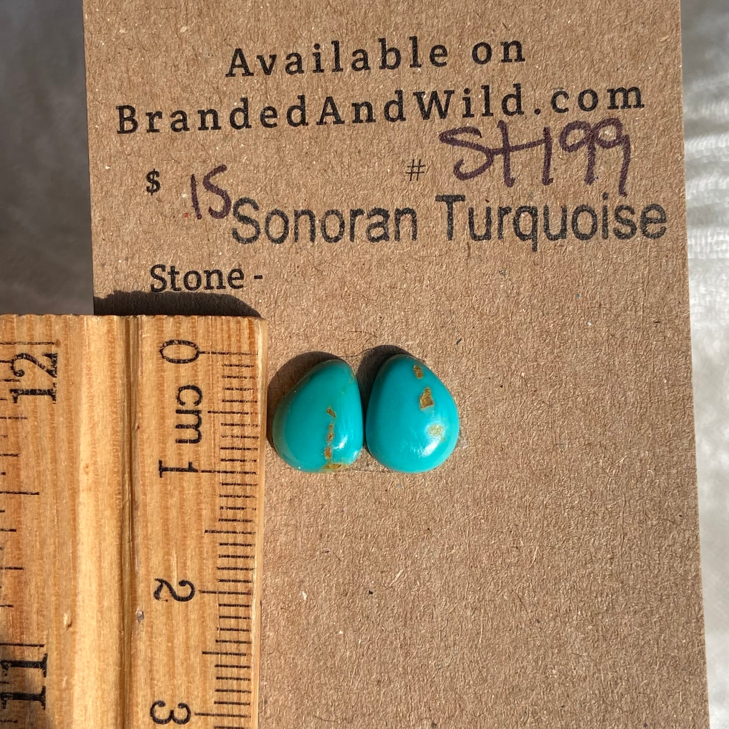 Sonoran Turquoise Cabochon - ST199