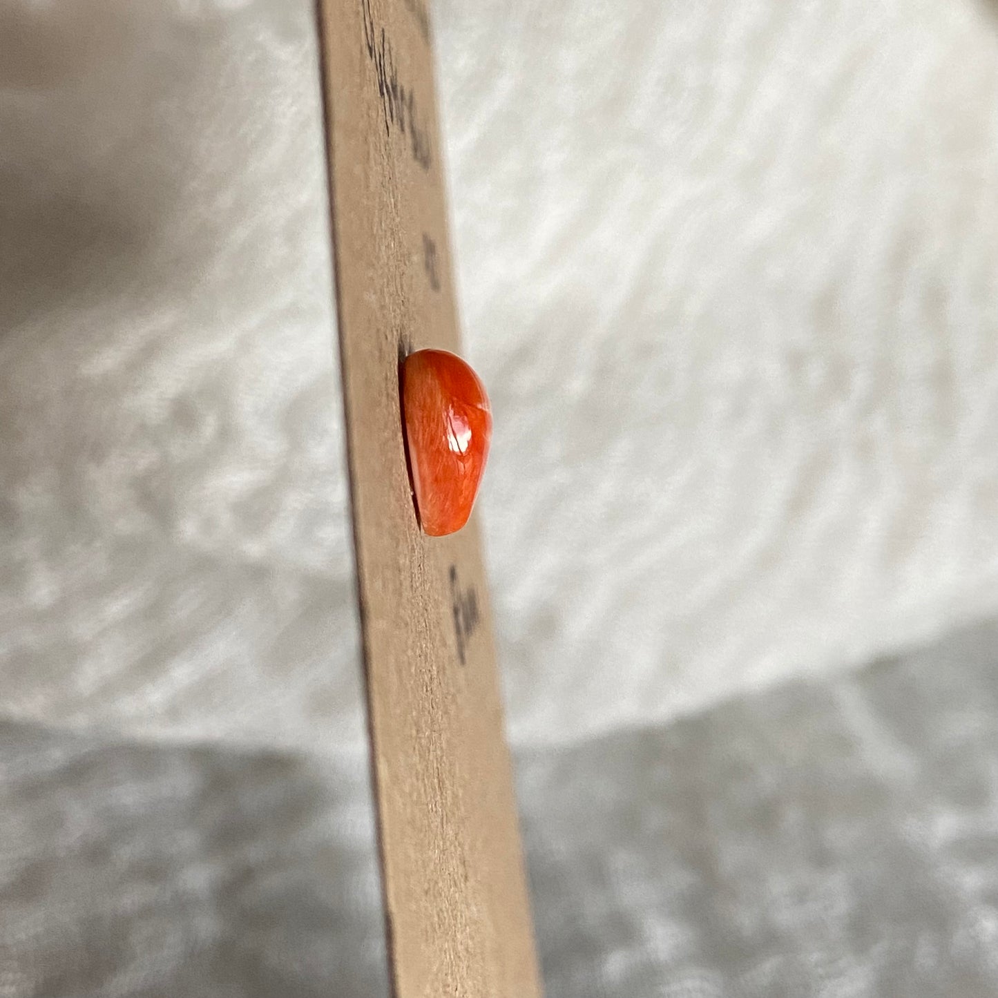 Oystershell Cabochon - OS08