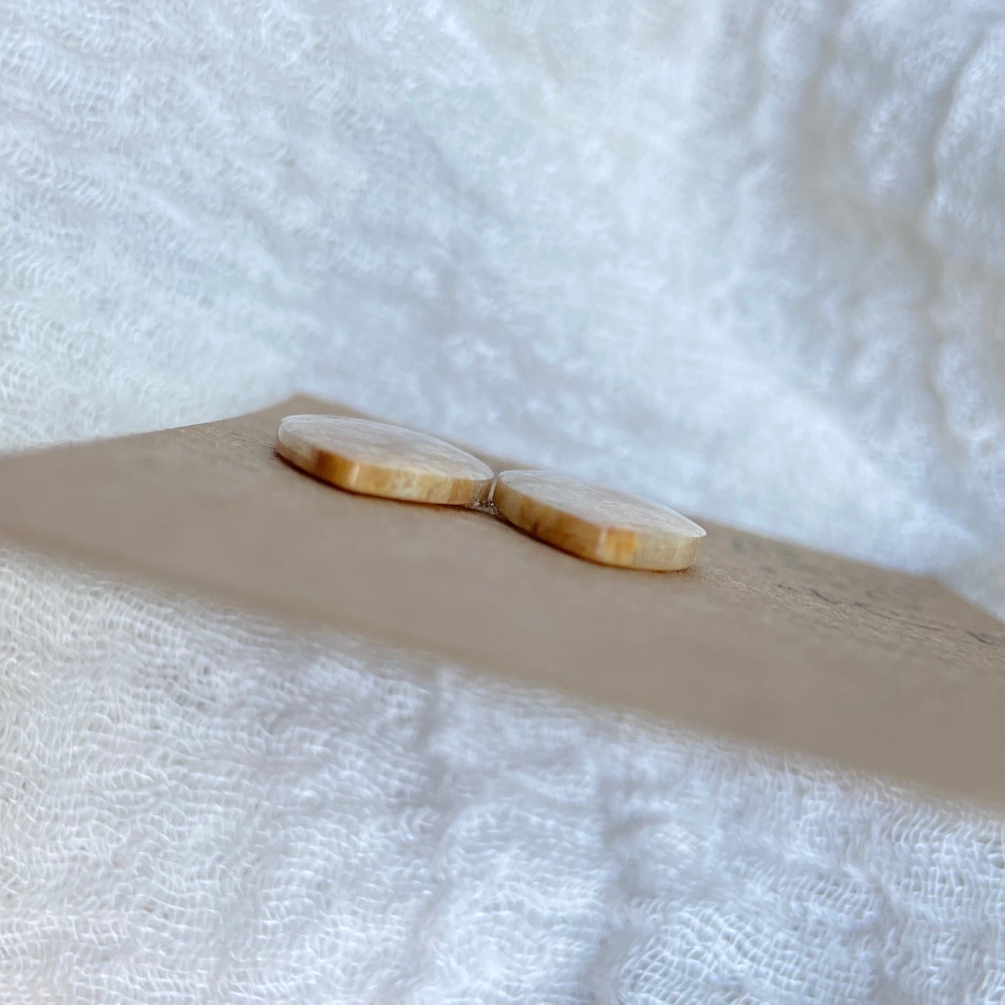 Fossil Coral Cabochon - FC75