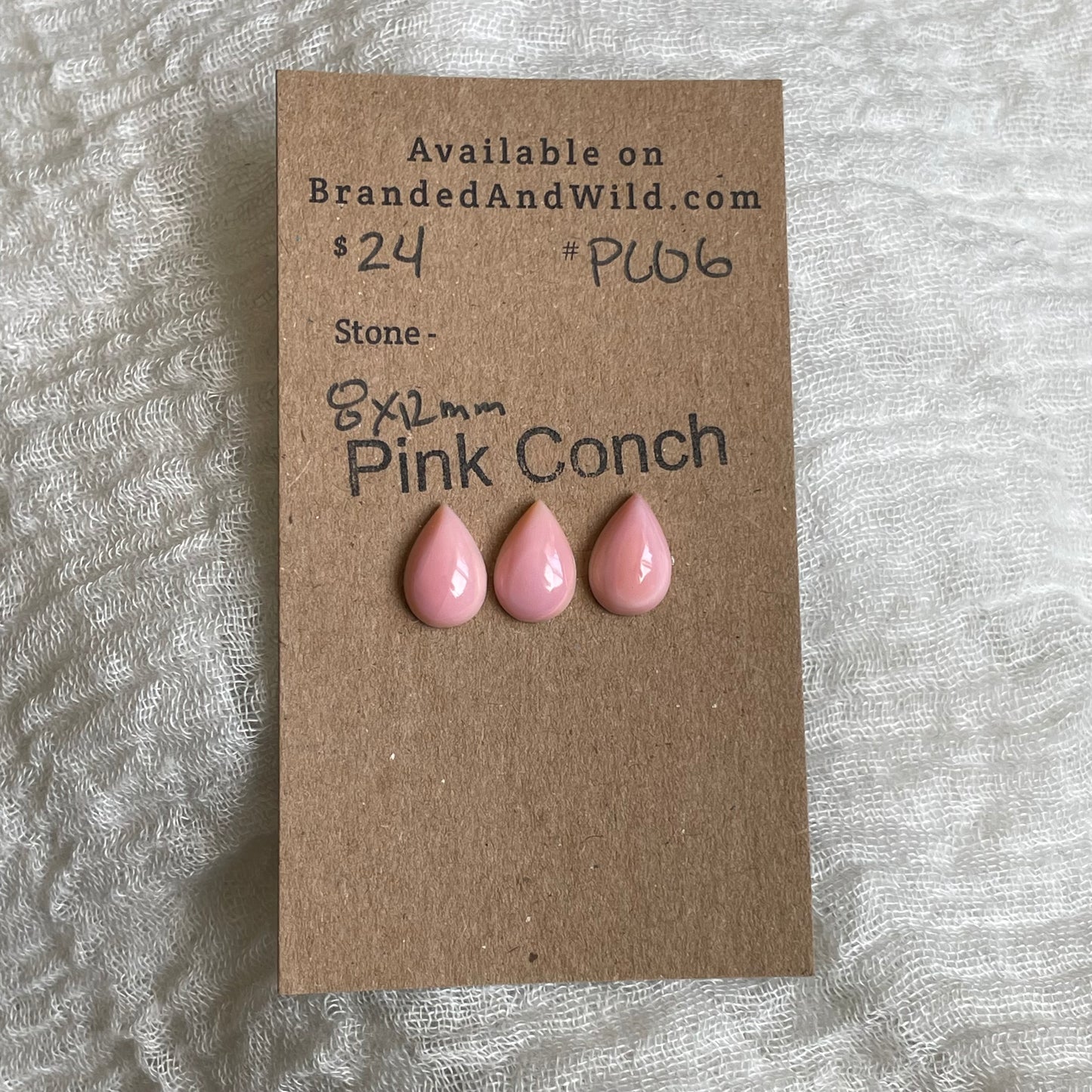 Pink Conch Cabochon - PC06