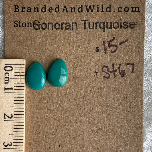 Sonoran Turquoise Cabochon - ST67