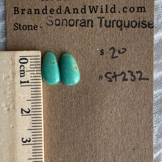 Sonoran Turquoise Cabochon - ST232