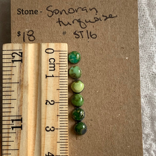 Sonoran Turquoise Cabochon - WH16