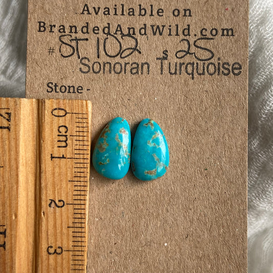 Sonoran Turquoise Cabochon - ST102 0D28FAE6-8510-491F-882C-F524E8E092D4 Brandedandwild.com