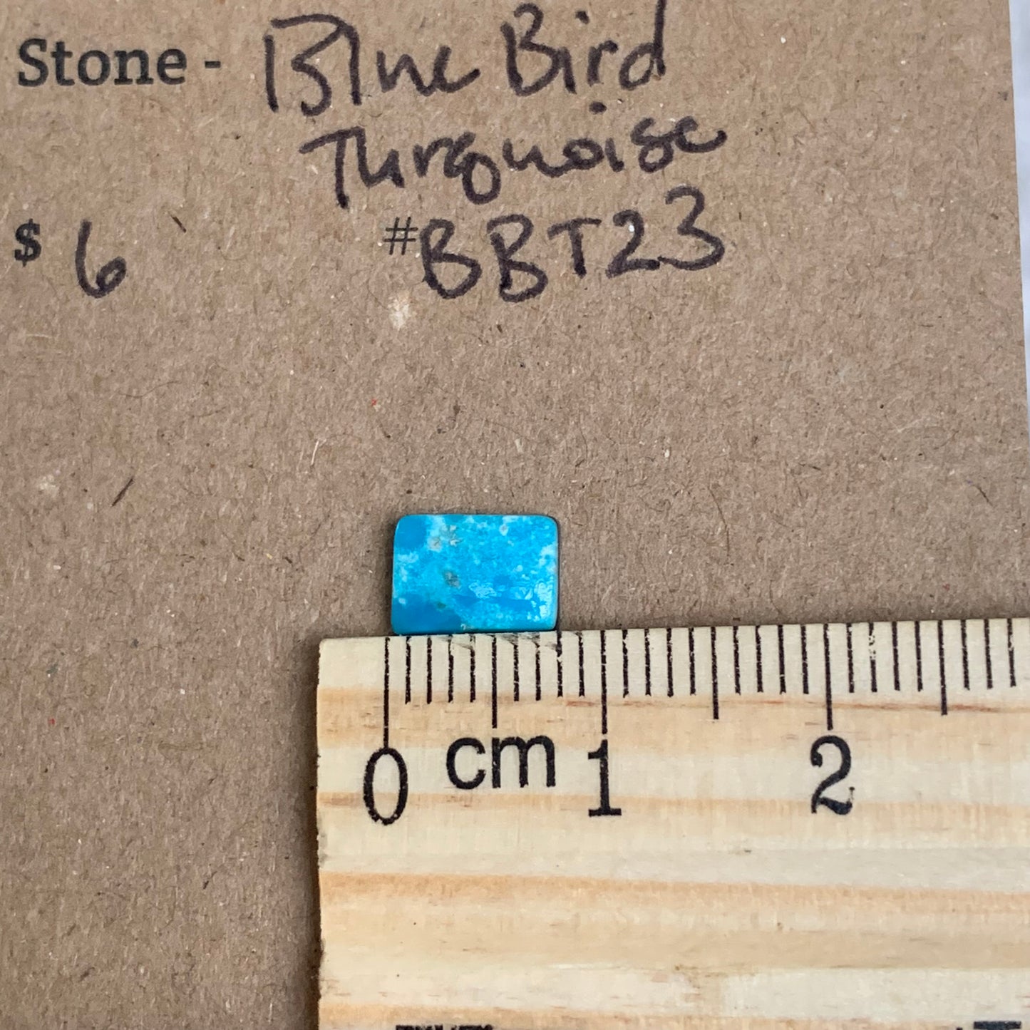 Blue Bird Turquoise Cabochon - BBT20