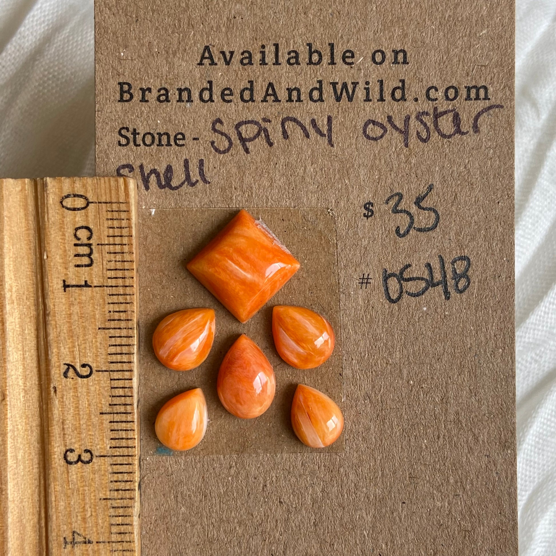 Oystershell Cabochon - OS48 0D4F217E-3B58-4978-ADBB-84E806D5D822 Brandedandwild.com