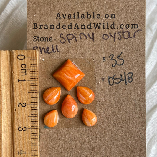 Oystershell Cabochon - OS48 0D4F217E-3B58-4978-ADBB-84E806D5D822 Brandedandwild.com