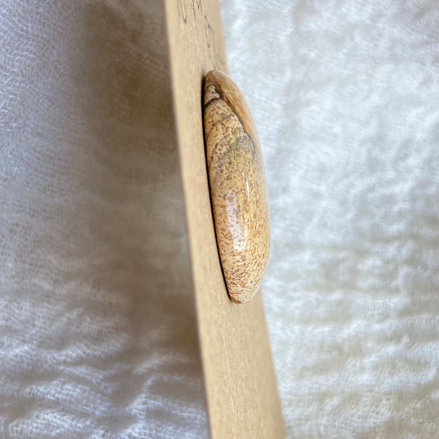Picture Jasper Cabochon - PJ64
