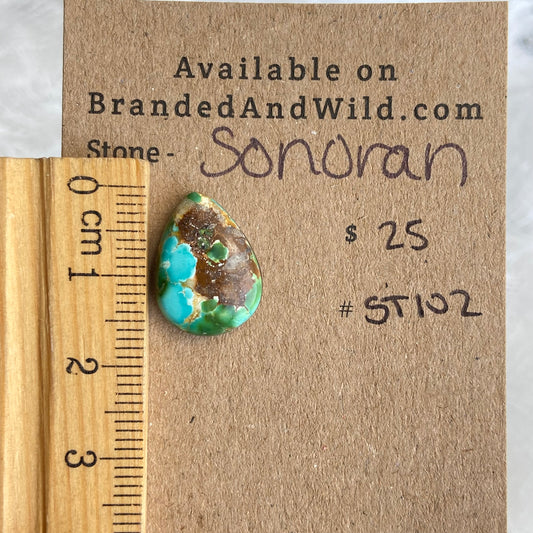 Sonoran Turquoise Cabochon - ST102