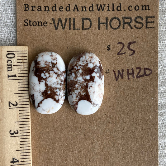 Wild Horse Cabochon - WH20