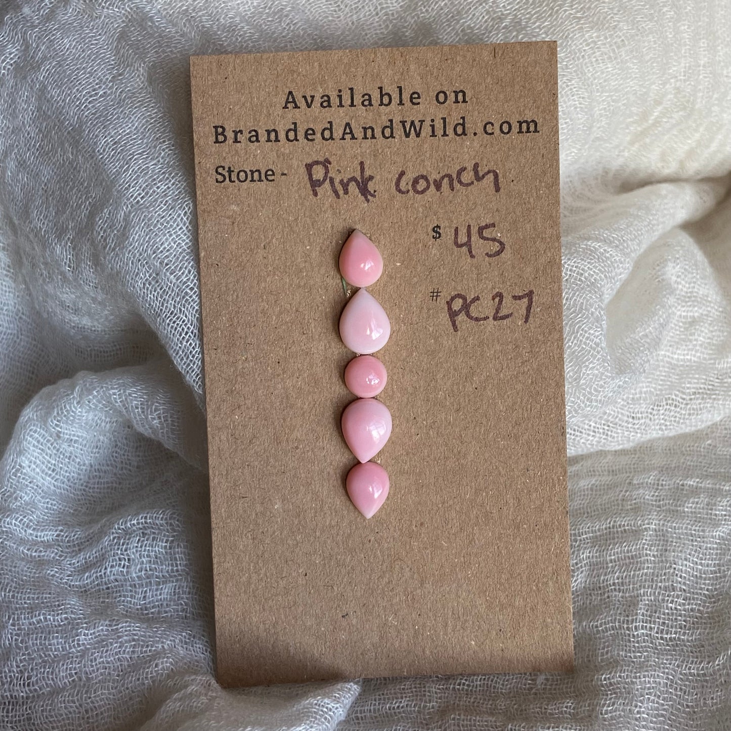 Pink Conch Cabochon - PC27