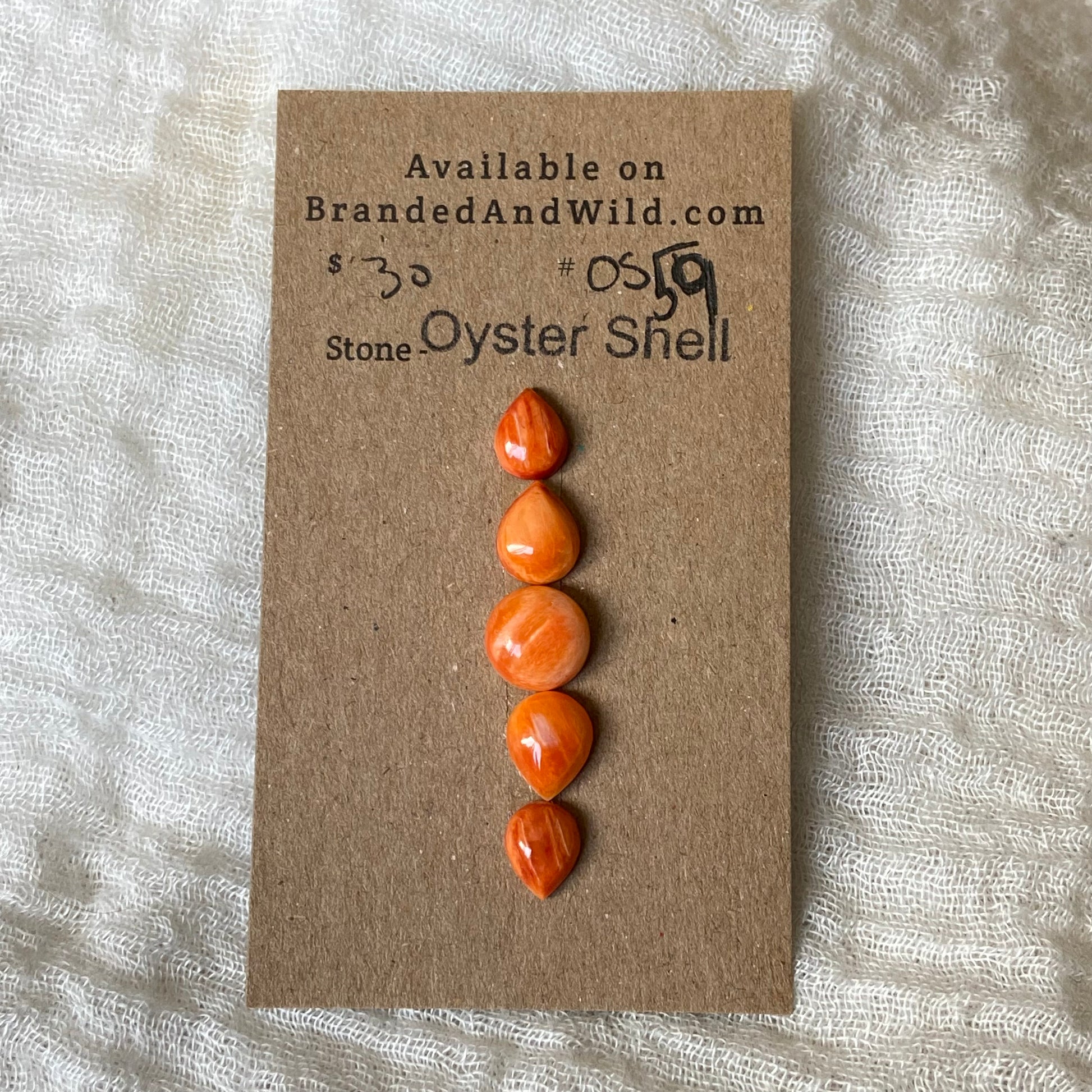 Oystershell Cabochon - OS59 0DA8D78E-8A93-4B14-B984-4BC7FD18EF74 Brandedandwild.com