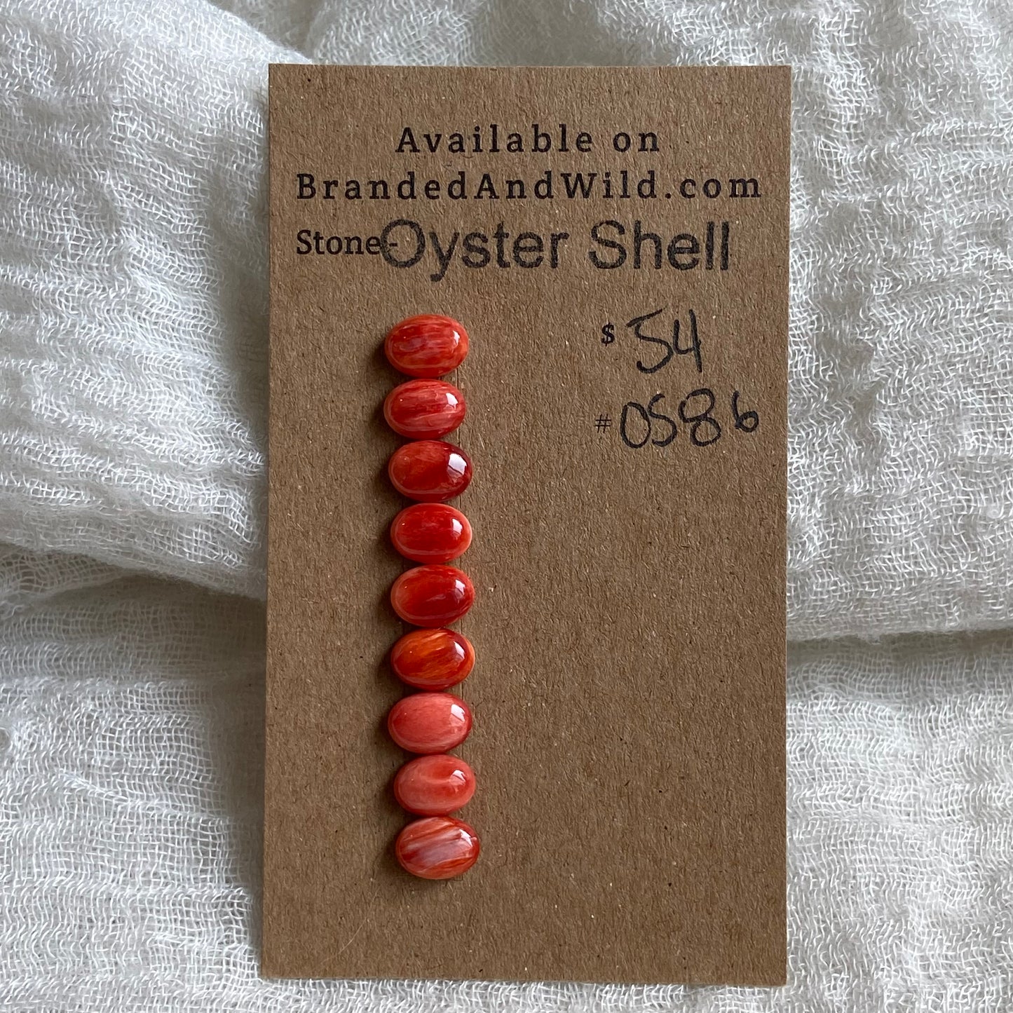 Oystershell Cabochon - OS86 0DB86D4F-5FE6-4E04-A122-A2AE093EC734 Brandedandwild.com