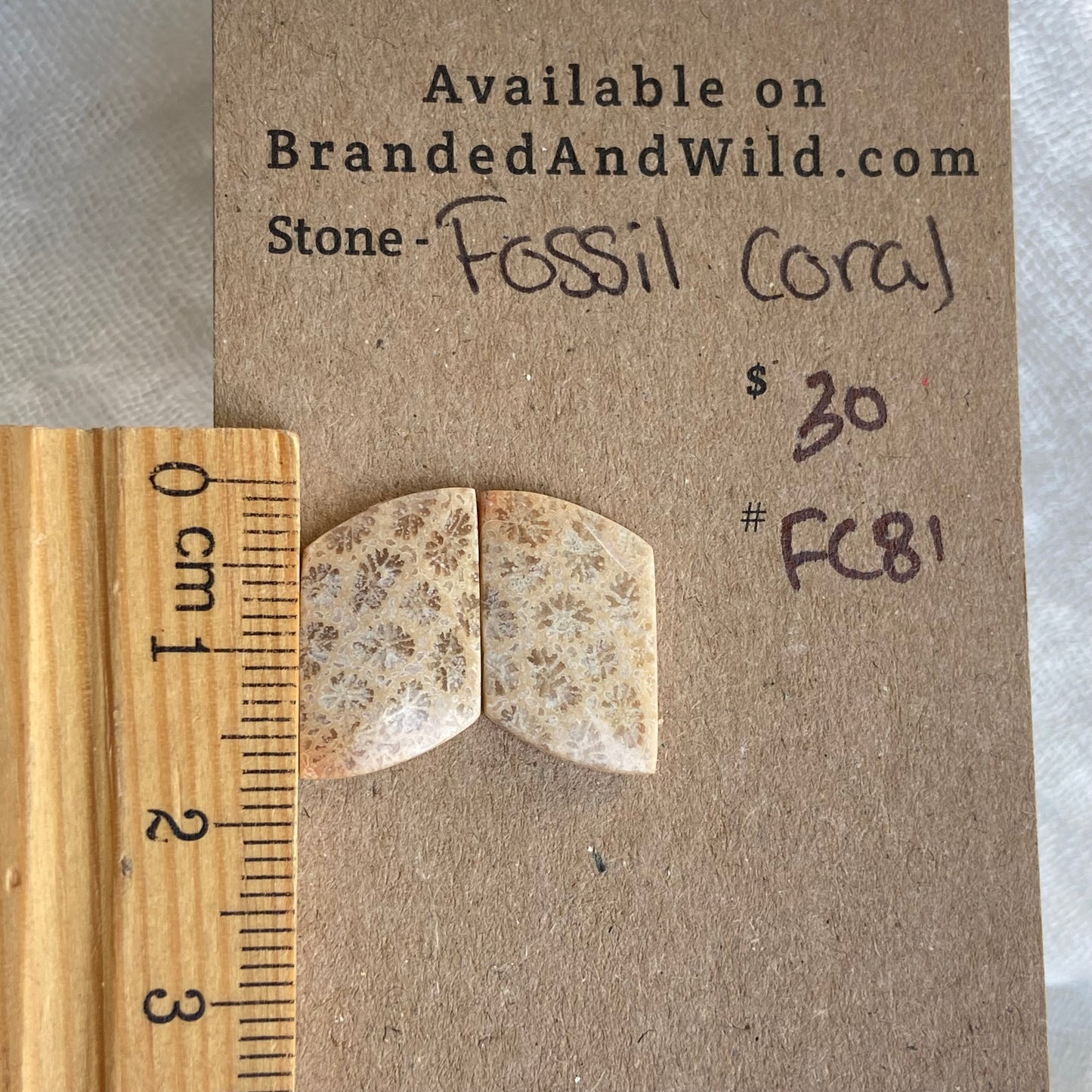 Fossil Coral Cabochon - FC81