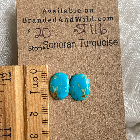 Sonoran Turquoise Cabochon - ST116 0DDF1A13-112A-4548-9972-571F53693EFD Brandedandwild.com