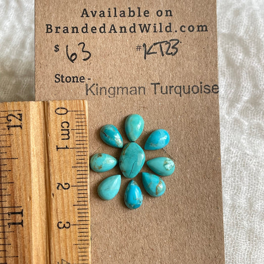 Kingman Turquoise Cabochon - KT23 0DEE5004-0B73-439A-92DD-DE8B2D02823A Brandedandwild.com