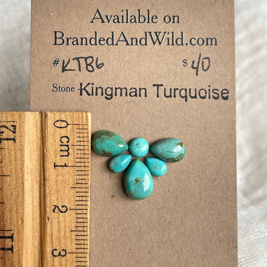 Kingman Turquoise Cabochon - KT86 0E0803C7-92B9-4D75-942E-BFB68DD259AC Brandedandwild.com